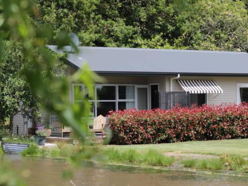 Revive On Oakview Boutique Beauty And Accommodation Ashburton Kültér fotó
